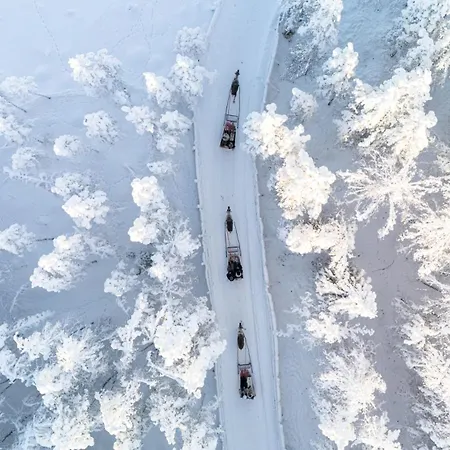 Raitola Reindeer And Husky Farm- Panorama Апарт-отель 3*